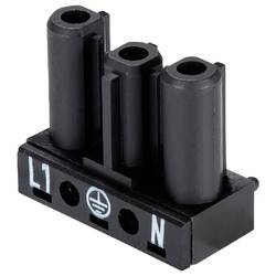 Wieland Electric 92.031.0058.1 Geräteanschluss