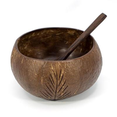Kokosnuss-Set (Bowl + Löffel) ¦ 2er Set