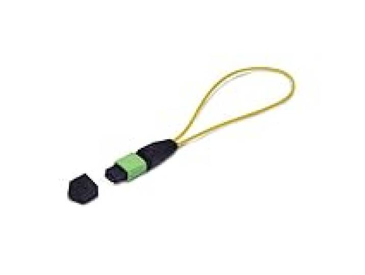 StarTech Module Loopback MPO-12 Femelle, 9/125 (LOOPBACKMTP12OS2SMF)