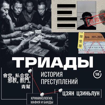 Triady. Istoriya prestupleniy - Jiang Jinlong, Audio, 9785171925512
