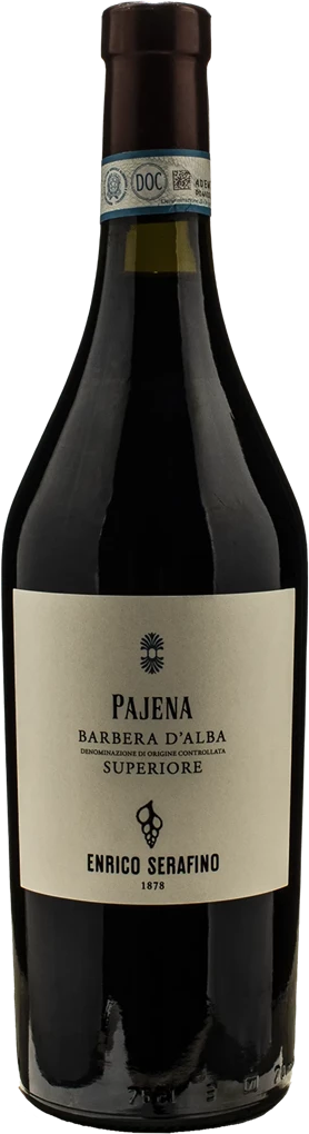 Enrico Serafino Barbera d'Alba Superiore Pajena 2022