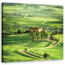 WANDBILD landschaften grün
