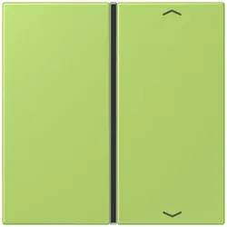 Jung Taste 1fach m. Pfeilsymb. LC 401 TSAP 221