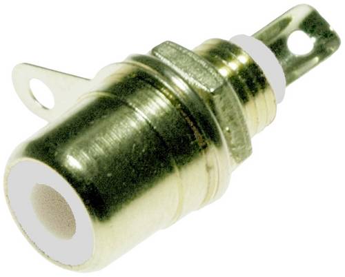 Lyndahl LKC003WS Gold, Weiß