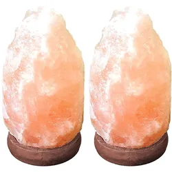 Tischleuchte Beistelllampe Nachttischlampe Tischlampe Leseleuchte, Holz Salzkristall braun naturfarben, USB-Kabel, 1x LED 5W, H 11,4 cm, 2er Set