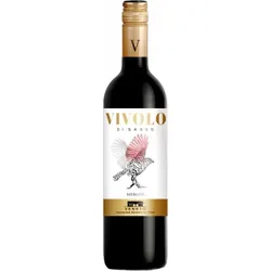 Merlot 2024 - Vivolo di Sasso