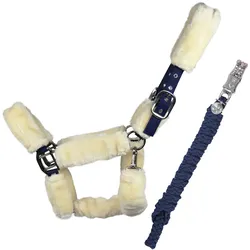 EQuest Halfter Comfort für Pferde mit Führstrick, navy - S / Pony