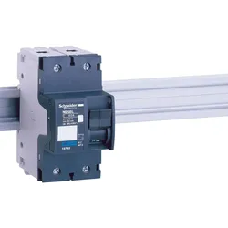 Schneider Electric 18842 Leistungsschalter NG125L, 2P, 25A, D Charakteristik