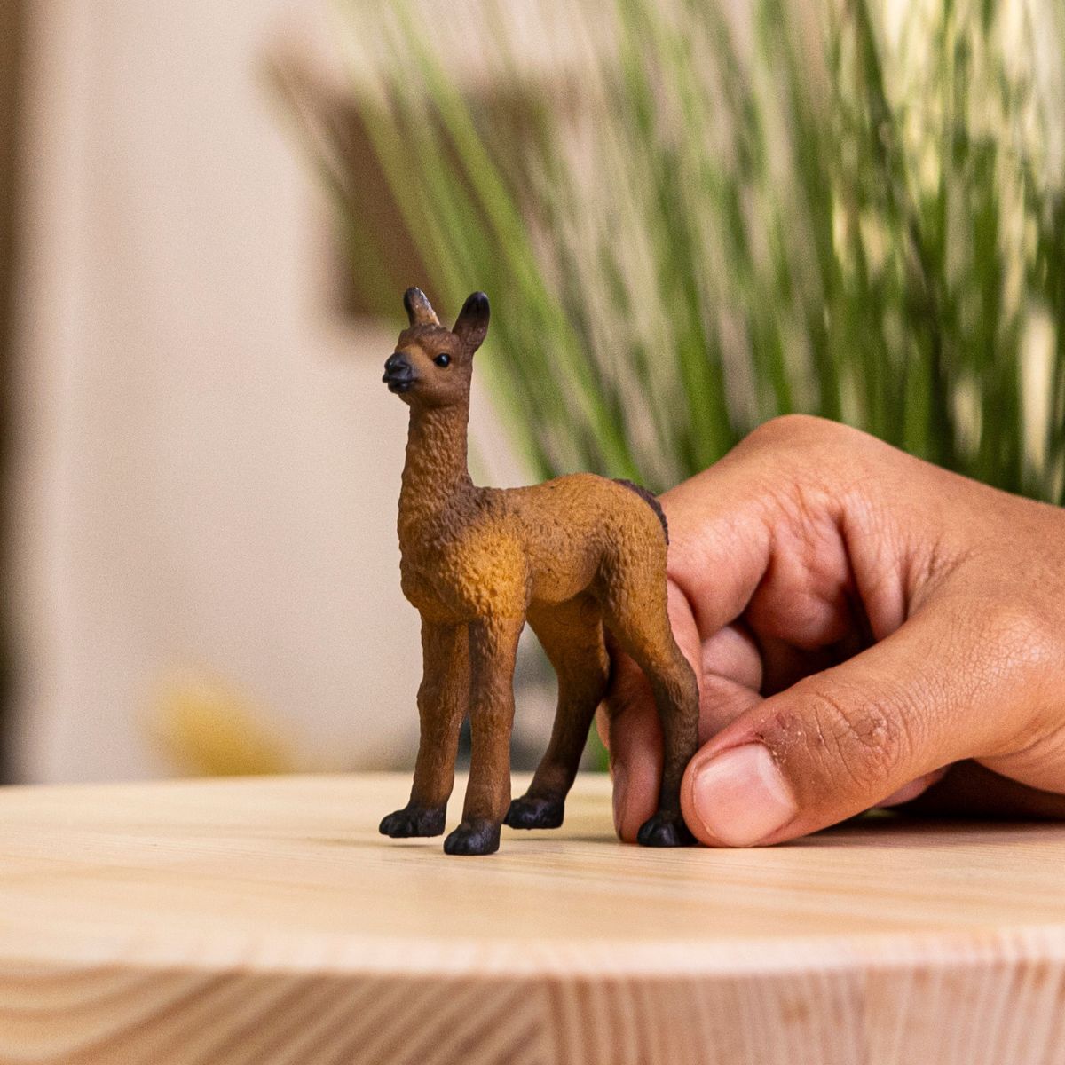 Schleich Farm World Llama Foal Figure - 2.2 cm x 5 cm x 6.7 cm for Kids