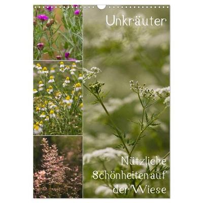 Unkräuter – Nützliche Schönheiten auf der Wiese (Wandkalender 2027 DIN A3 hoch), CALVENDO Monatskalender