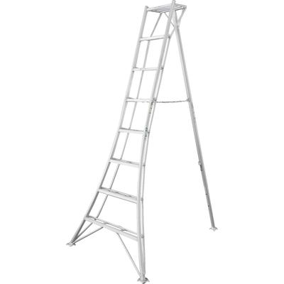 Vielzweckleiter NIWAKI, silber (silberfarben), B:125cm H:240cm, Aluminium, Leitern, Gartenleiter, gleicht Unebenheiten im Gelände aus