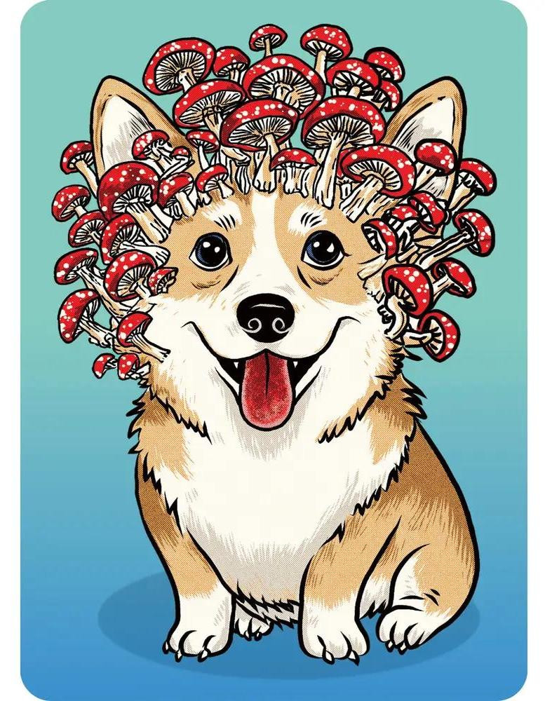 Ravensburger Mini-puzzel 100 stukjes Corgi-paddenstoel
