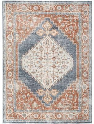 Nourison Astra Machine Washable Distressed Vintage Area Rug
