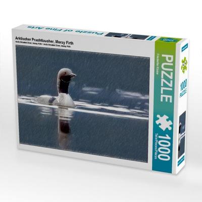 CALVENDO Puzzle Arktischer Prachttaucher, Moray Firth | 1000 Teile Lege-Größe 64x48cm Foto-Puzzle für glückliche Stunden