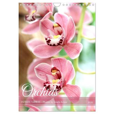 Kruse, G: Orchids - Infinite Variety (Wall Calendar 2026 DIN
