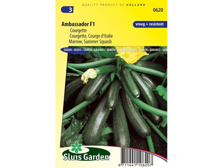 Courgette zaden Ambassador F1
