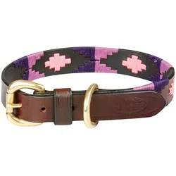 Weatherbeeta Polo (M, Hund, Spazieren), Halsband + Leine