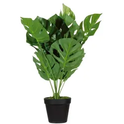 meet Kunstpflanze »Monstera Palme« 45 cm, 45 cm