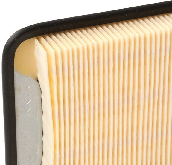 MANN-FILTER C 4373/1 Air filter