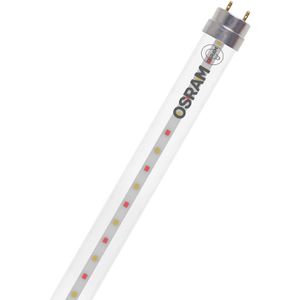 OSRAM Pflanzenlampe LED TUBE T8 30 EM FLUORA, LED, 90 cm, 10 Watt, 8 Stück