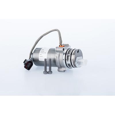 BORGWARNER (AWD) Pumpe, Lamellenkupplung-Allradantrieb DS2010676 Hinterachse