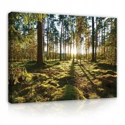 LEINWANDBILDER Wald Natur Wohnzimmer 100x70