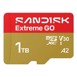 SanDisk Extreme GO microSDXC-Karte 1 TB UHS-I U3 Temperaturbeständig SDSQXGN-1T00-GN6MN