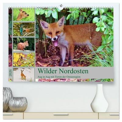 Wilder Nordosten - Aug in Aug mit Tieren der Ostseeregion (hochwertiger Premium Wandkalender 2026 DIN A2 quer), Kunstdruck in Hochglanz