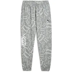 PUMA teamJAWS Post Game Jogginghose Herren 03 - medium gray heather XXL