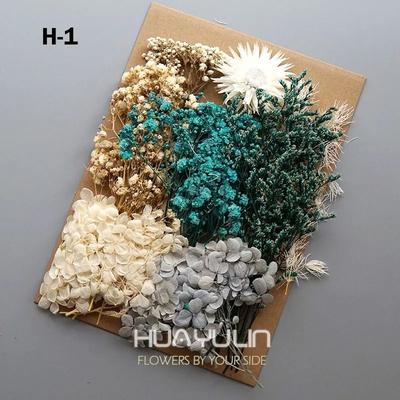 Botanical Narrative Elements High Definition Preserved Floral Materials style 8