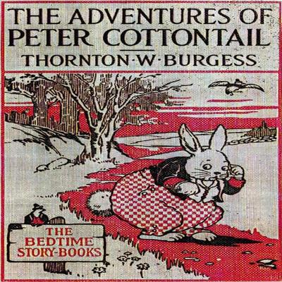 The Adventures of Peter Cottontail - Thornton W. Burgess, Audio, 9781965655658
