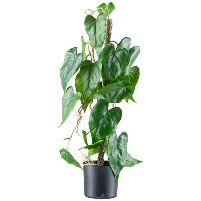Kunstblume CREATIV GREEN "Flamingoblume", grün (grünweiß), H:66cm, Kunststoff, Kunstpflanzen, mit verschlungenem Stamm