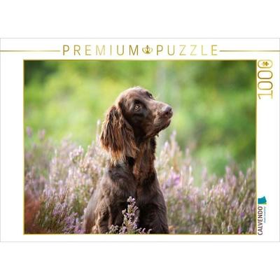 CALVENDO Puzzle Zeit mit dem Hund ist nie verlorene Zeit! | 1000 Teile Lege-Größe 64x48cm Foto-Puzzle für glückliche Stunden