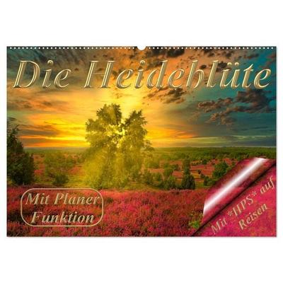 Die Heideblüte (Wandkalender 2026 DIN A2 quer), CALVENDO Monatskalender