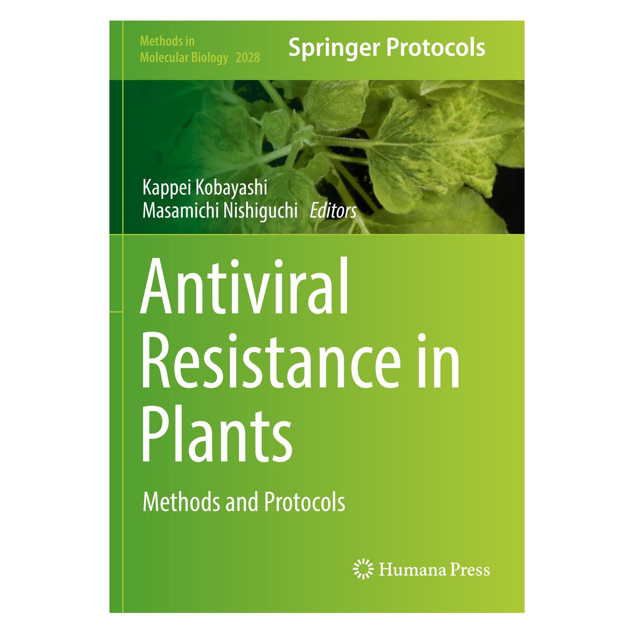 Springer Antiviral Resistance in Plants (Englisch, Softcover, Kappei Kobayashi, Masamichi Nishiguchi) (56155714)
