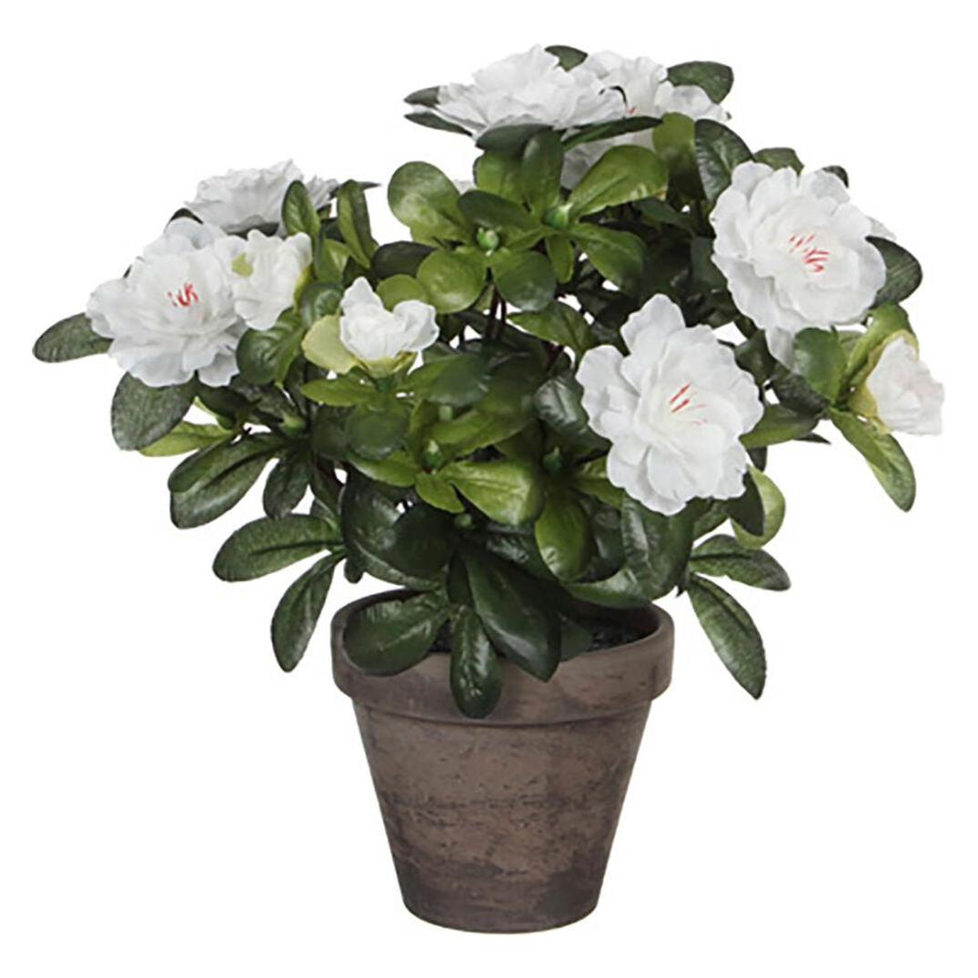Mica Decorations Künstliche Azalee Weiss im Topf (27 cm) (950330)
