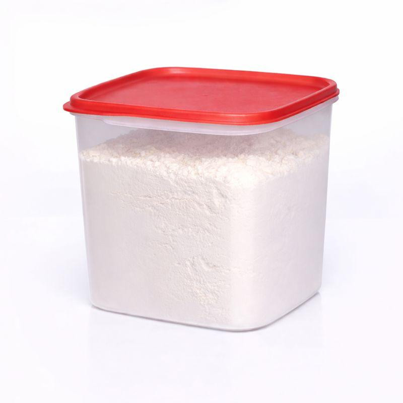 Tupperware Eidgenosse opbergcontainer, 3,9 liter