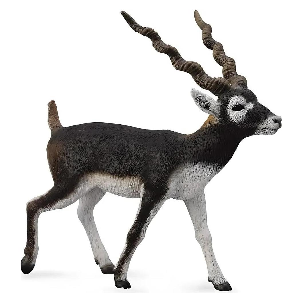 Collecta Blackbuck Antilope Figur (004-88638) (004-88638)