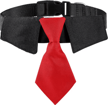 Inspire Picks Sucado Elegant Dog Wedding Suit With Formal Necktie Collar sd140f s