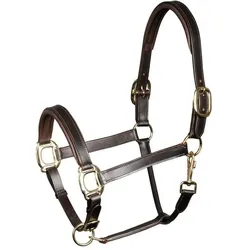 Harry's Horse, Halfter