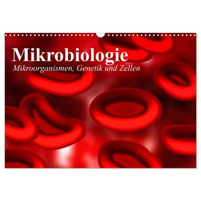 Mikrobiologie. Mikroorganismen, Genetik und Zellen (Wandkalender 2026 DIN A3 quer), CALVENDO Monatskalender