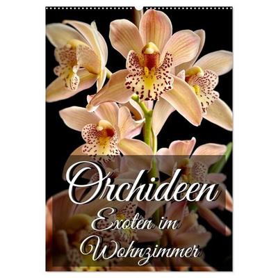 Orchideen - Exoten im Wohnzimmer (Wandkalender 2027 DIN A2 hoch), CALVENDO Monatskalender