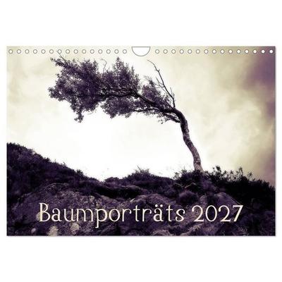 Baumporträts 2027 (Wandkalender 2027 DIN A4 quer), CALVENDO Monatskalender