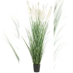CREATIV green künstliche Pflanze Pampasgras, ca 240cm