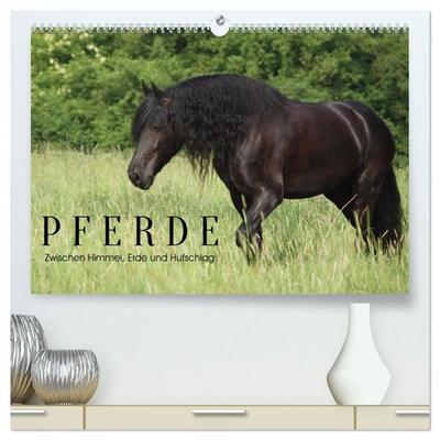 PFERDE - Zwischen Himmel, Erde und Hufschlag (hochwertiger Premium Wandkalender 2027 DIN A2 quer), Kunstdruck in Hochglanz