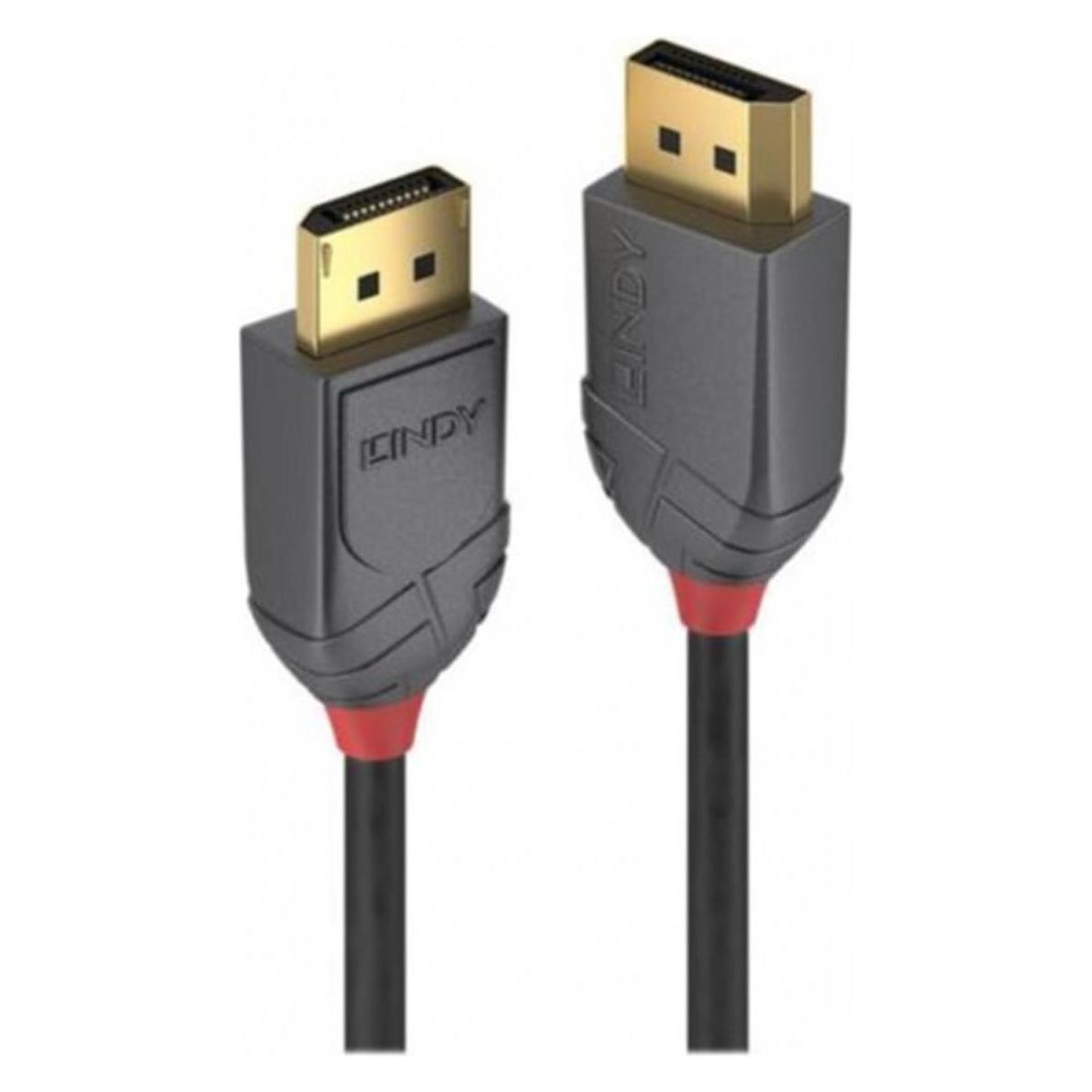 Lindy DisplayPort - DisplayPort (1 m) (36481)