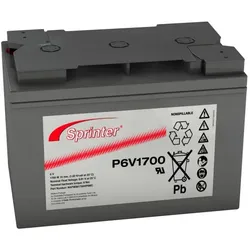 Exide Sprinter P6V1700 6V 122Ah Blei-AGM Akku