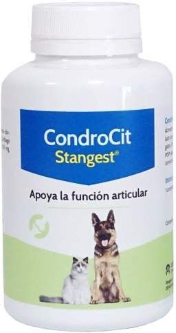 Stangest Condrocit para Perros y Gatos