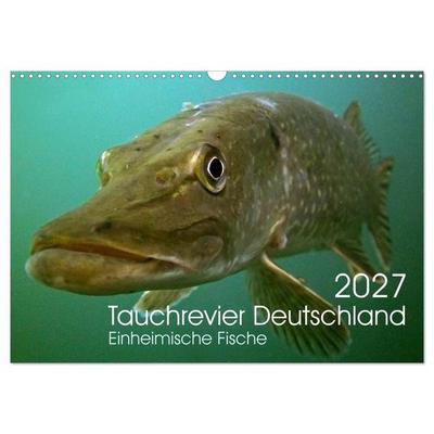Tauchrevier Deutschland (Wandkalender 2027 DIN A3 quer), CALVENDO Monatskalender