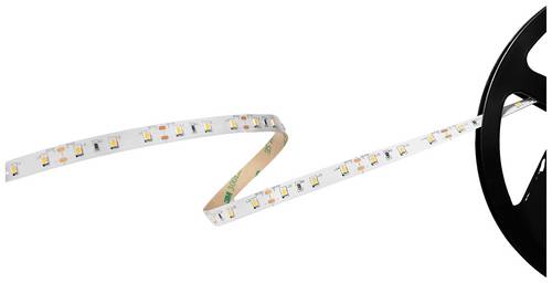 Barthelme Basic 60 51541134 LED-Streifen mit offenem Kabelende 12V 5m Kaltweiß 1St.